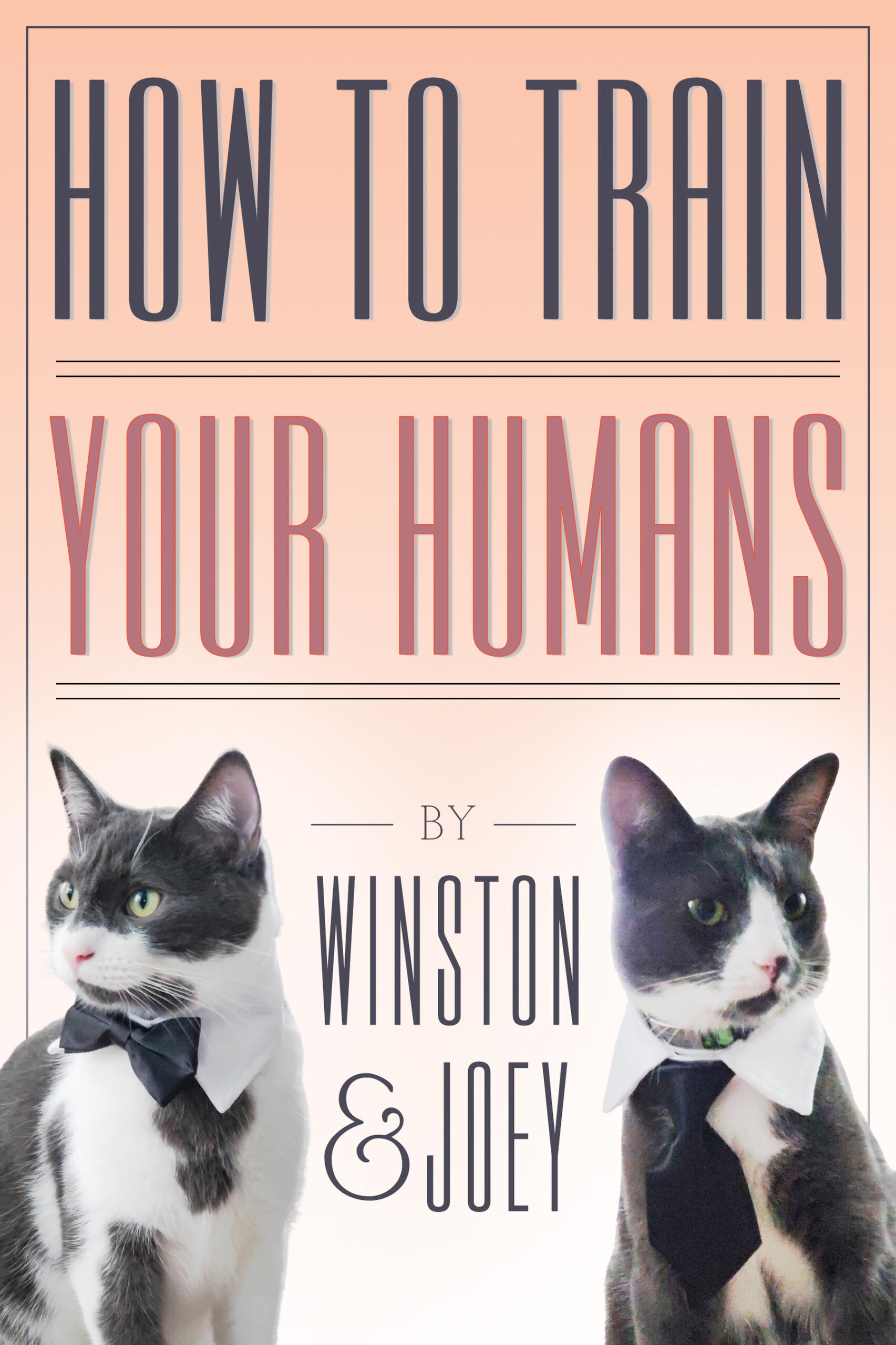 How To Train Your Humans Dad says we have to sing for our supper. Please buy our book! #HungryKities #FeedUs